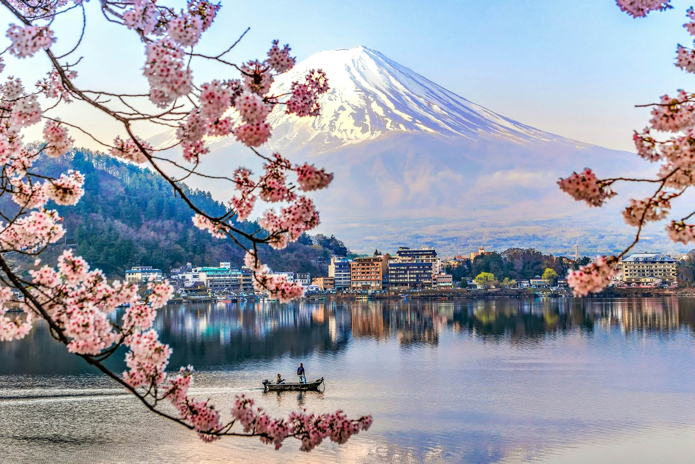  Sakura  Japan Cherry Blossom Lake 